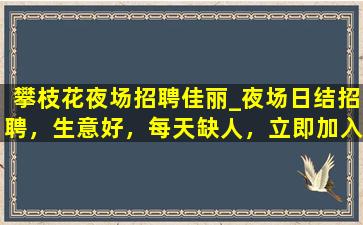 丽江酒吧招聘